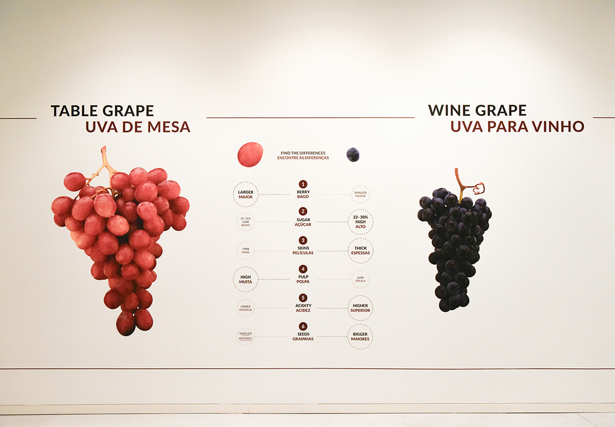 03-wine-and-portugal-231002.jpg