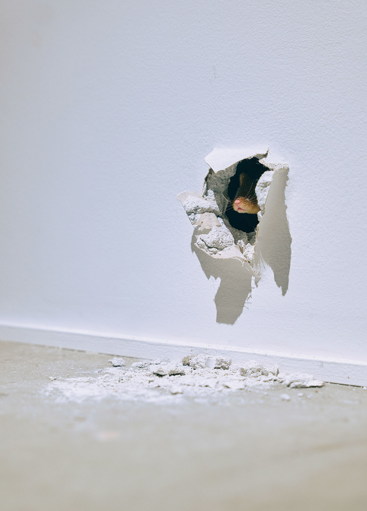 11-art-trip3-251007.jpg