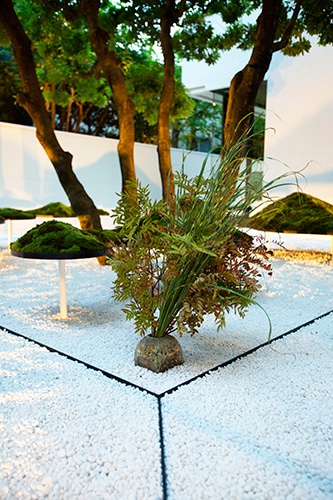 160804-garden-yuu.jpg