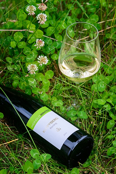 160915_riesling_05.jpg
