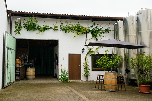 160929_riesling_08.jpg