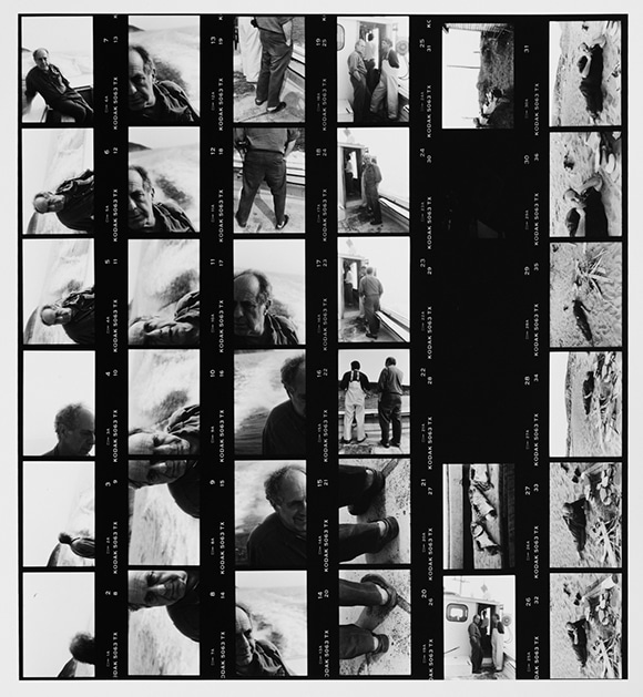 31人の写真家が表現するコンタクトプリントの企画展とは？｜Culture