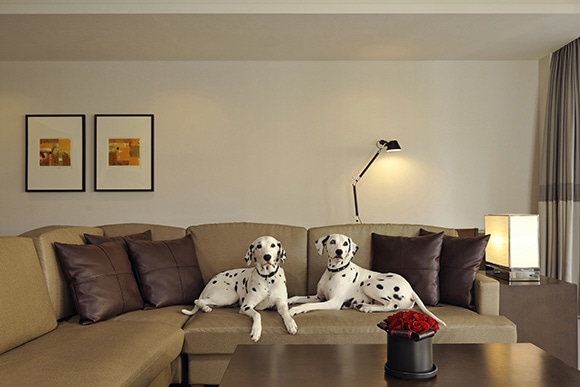 170418DogFriendlyRoomSuite001.jpg