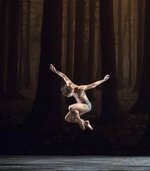 190116-ballet1-10.jpg