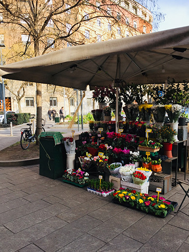 190123-1.jpg