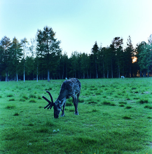 190516_10_kakutaP061.jpg
