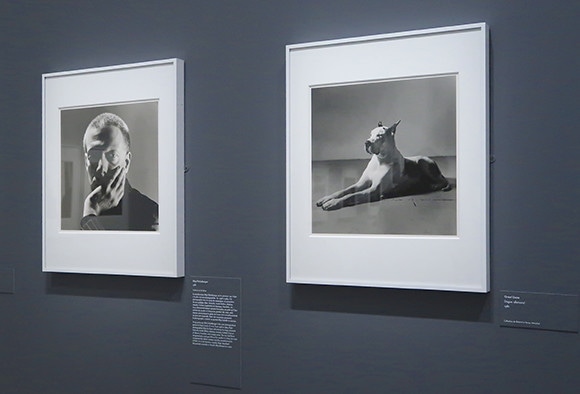 191118-peter-hujar-13.jpg