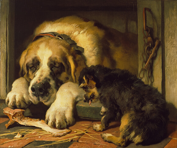 230123_Edwin-Landseer,-Doubtful-Crumbs,-1858-1859-©-The-Wallace-Collection.jpg