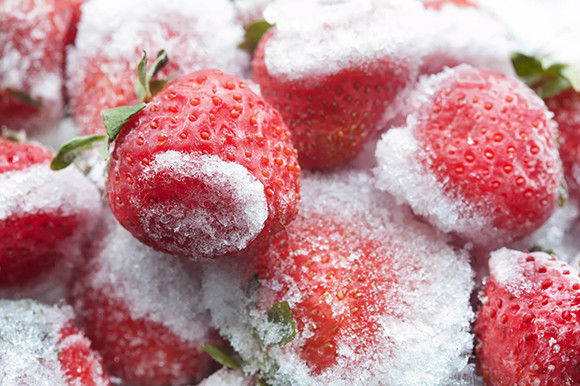 200514_fraises-congelees.jpg