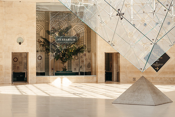 200924-03-marine-brusson-herbarium-louvre-HD-28.jpg