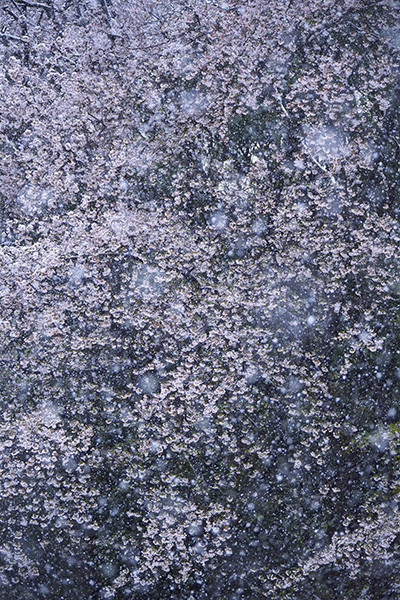 201125_sagisaka_5.jpg