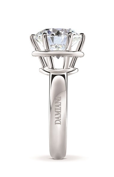 20180425_damiani_01.jpg