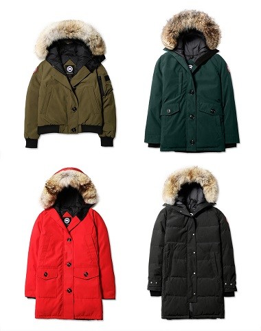 20181022_canadagoose_02.jpg