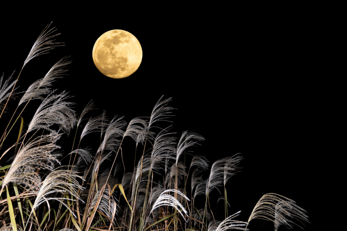 20251004-huntersmoon.png