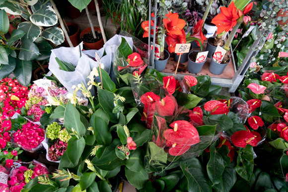 210514-garden-hongkong-10.jpg