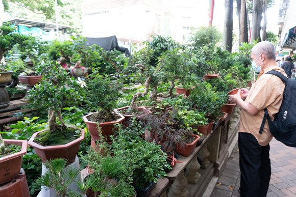 210514-garden-hongkong-11.jpg
