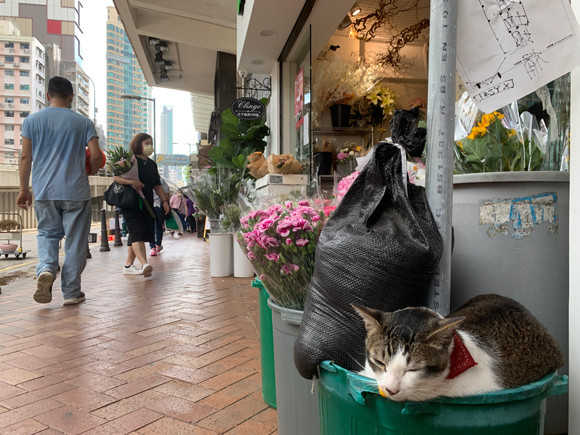 210514-garden-hongkong-13.jpg