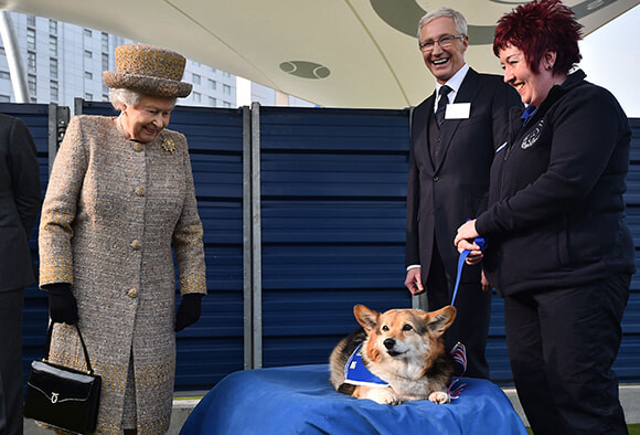 230123_Queen-Elizabeth-II-looks-at-a-Corgi-dog-during-a-visit-to-Battersea-Dogs-and-Cats-Home-in-London-on-March-17,-2015.jpg