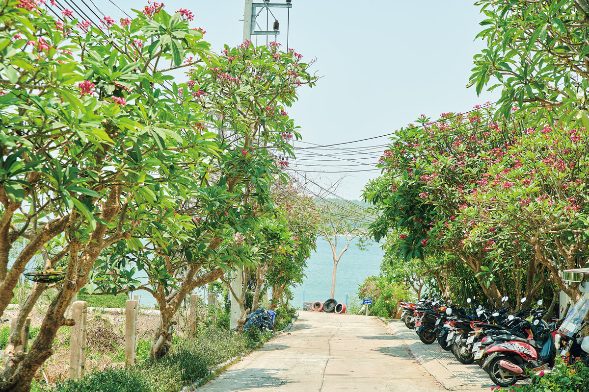 240806_thai_shorttrip_chonburi__01.jpg