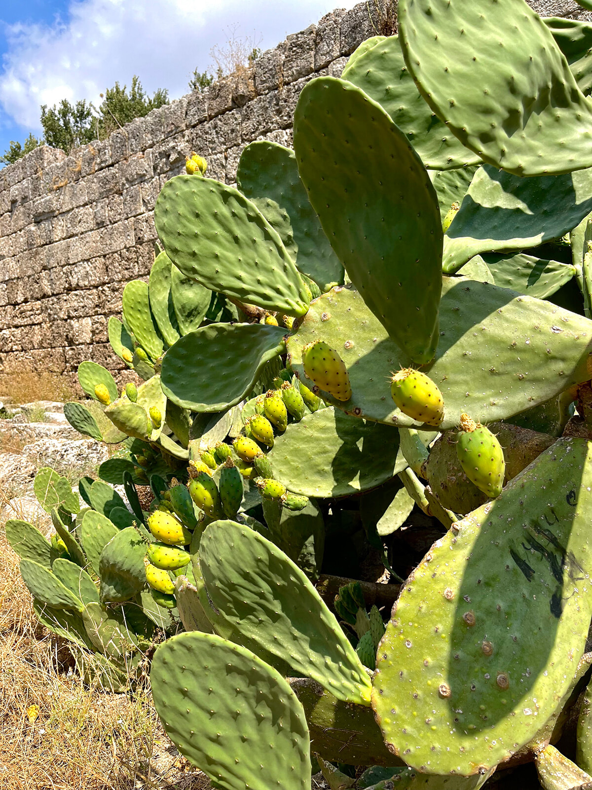 240823_antalya_ancient_ruins_04.jpg