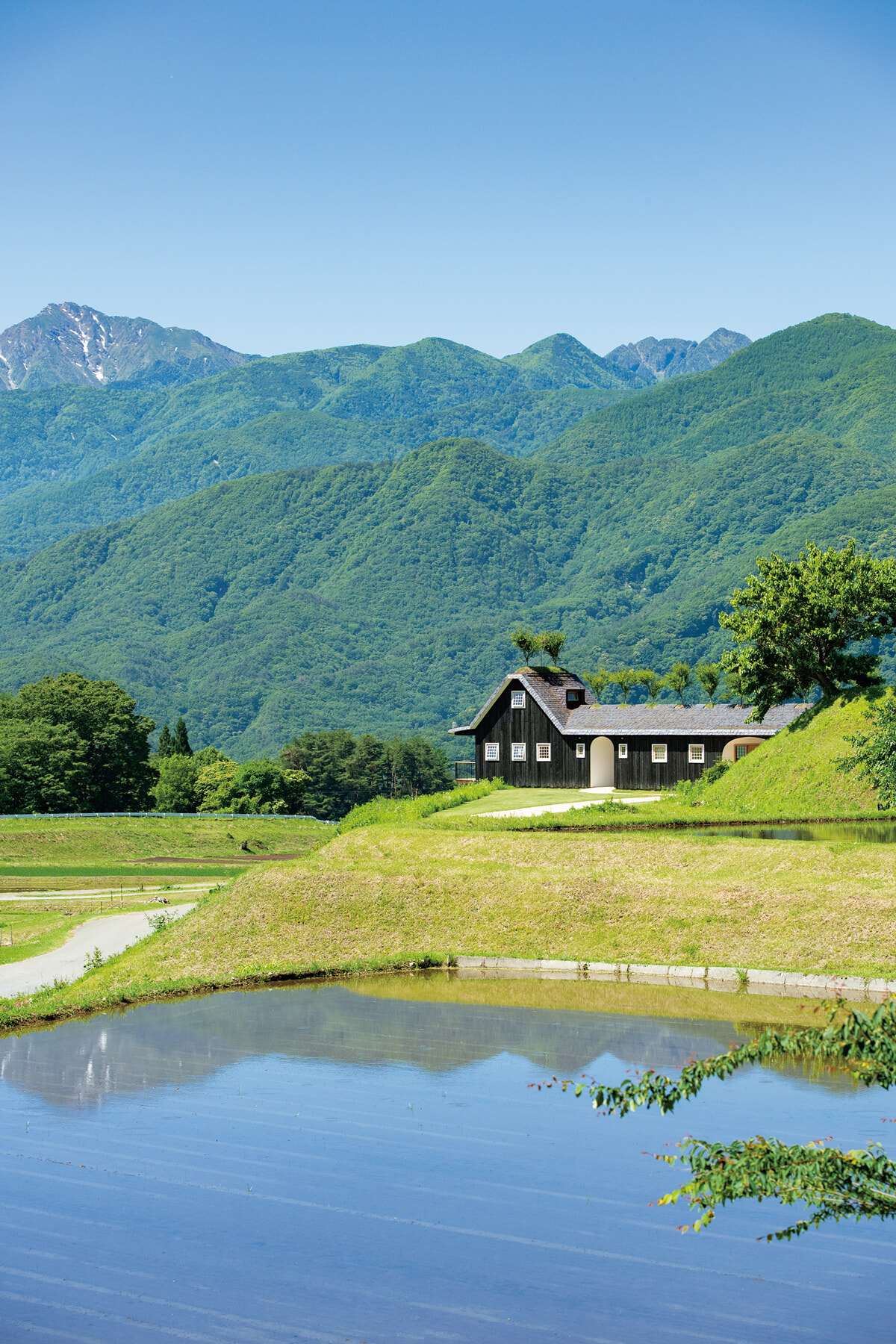 240829_rusticstays_kodomari_fuji_04.jpg