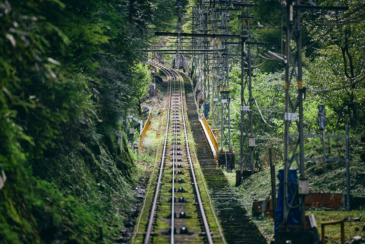 241015-koyasan-wakayama-travel-03.jpg