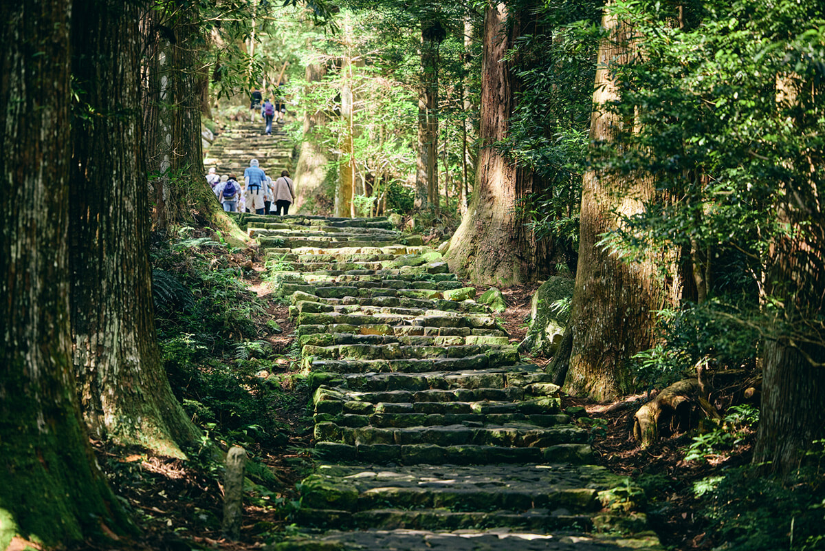 241022-kumano-03-06.jpg