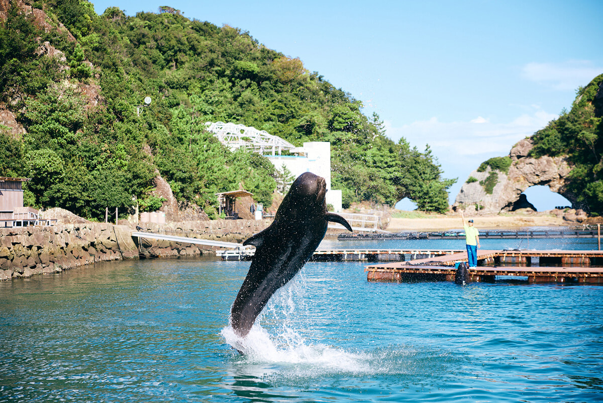 241113-wakayama-driving2-20.jpg