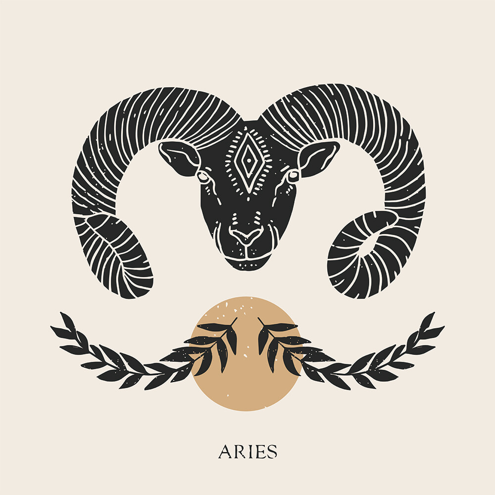 250210_aries.jpg