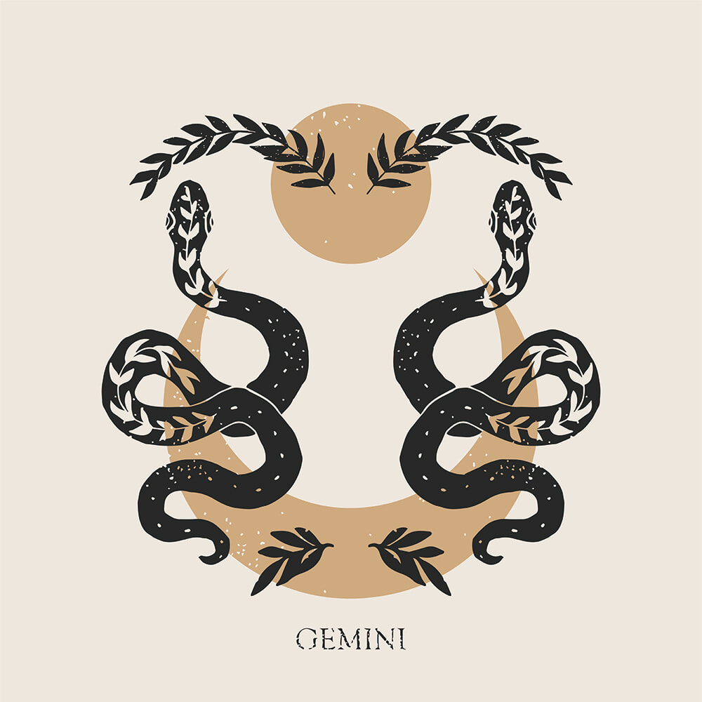 250210_gemini.jpg