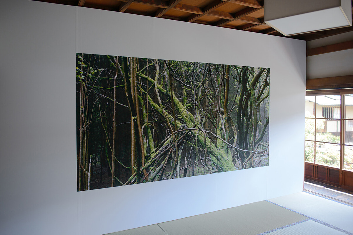 250430-kyotographie-01.jpg