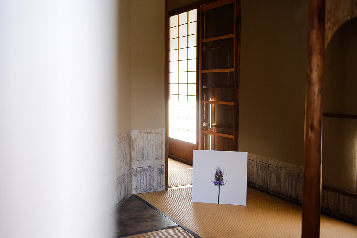250430-kyotographie-04.jpg