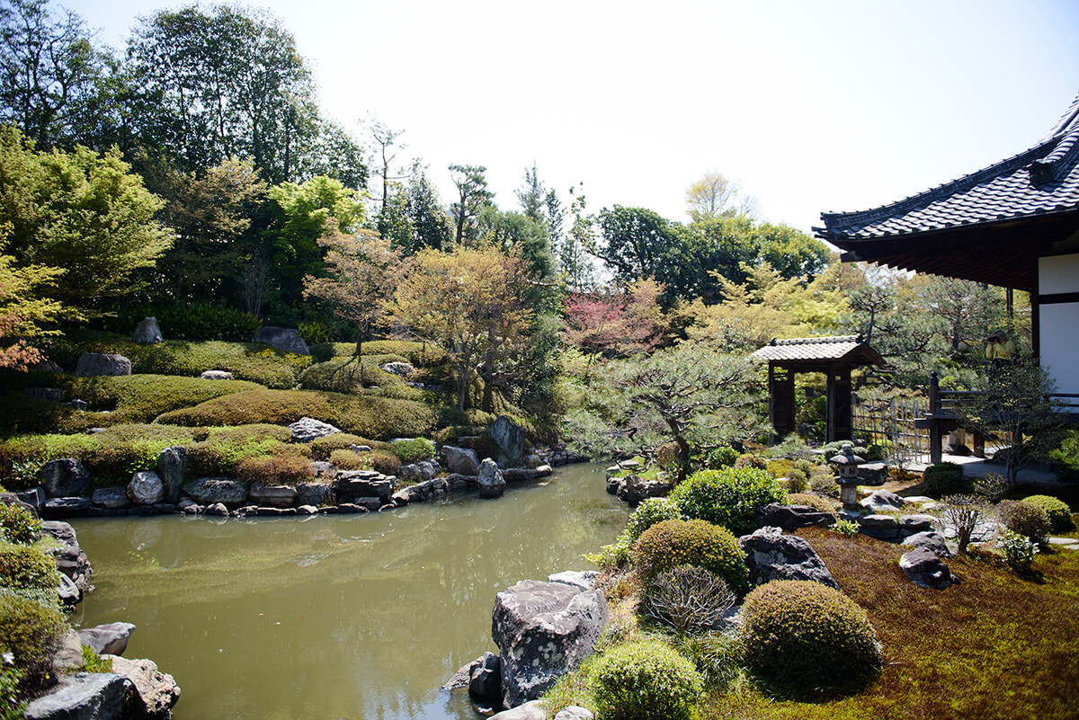 250430-kyotographie-05.jpg