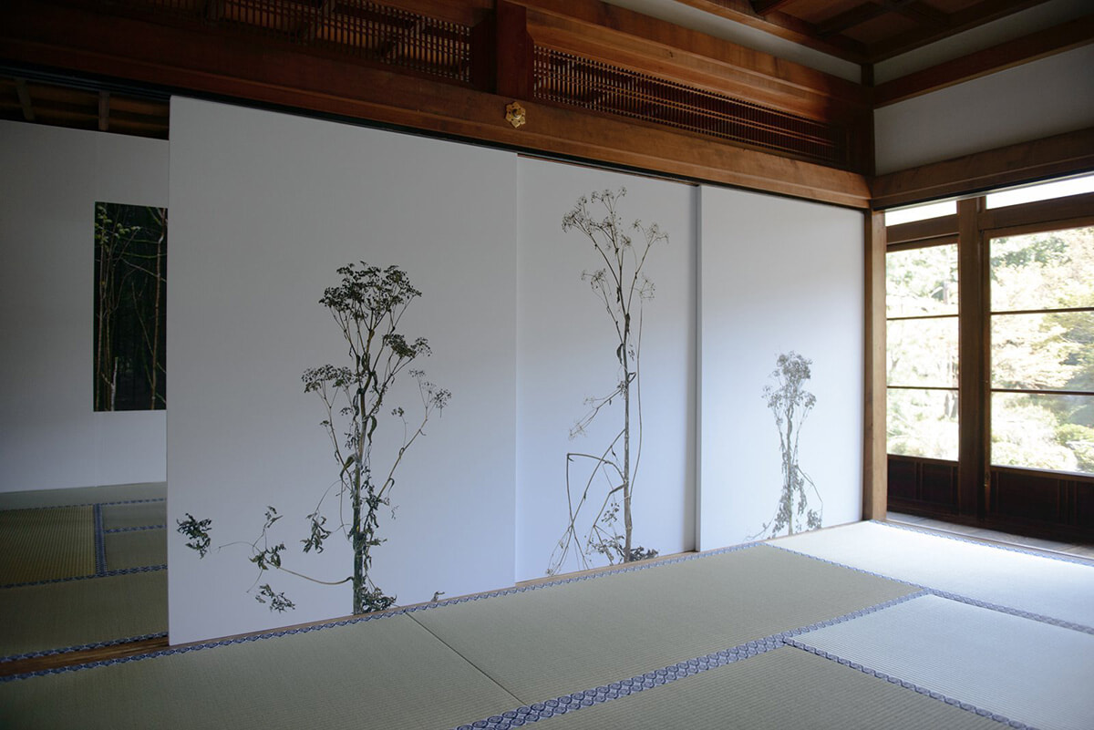 250502-kyotographie-14.jpg