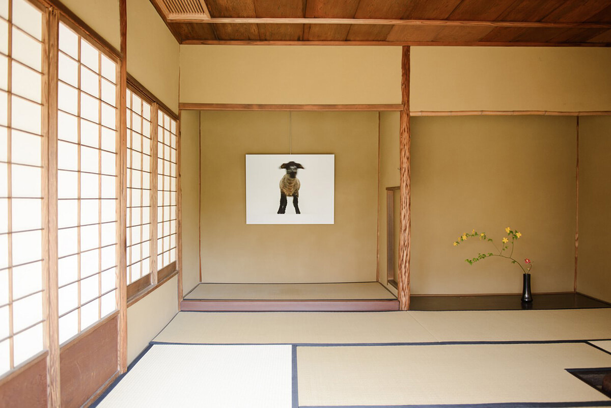 250502-kyotographie-15.jpg