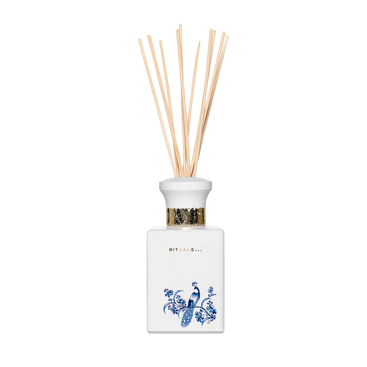 250507-rituals-09.jpg