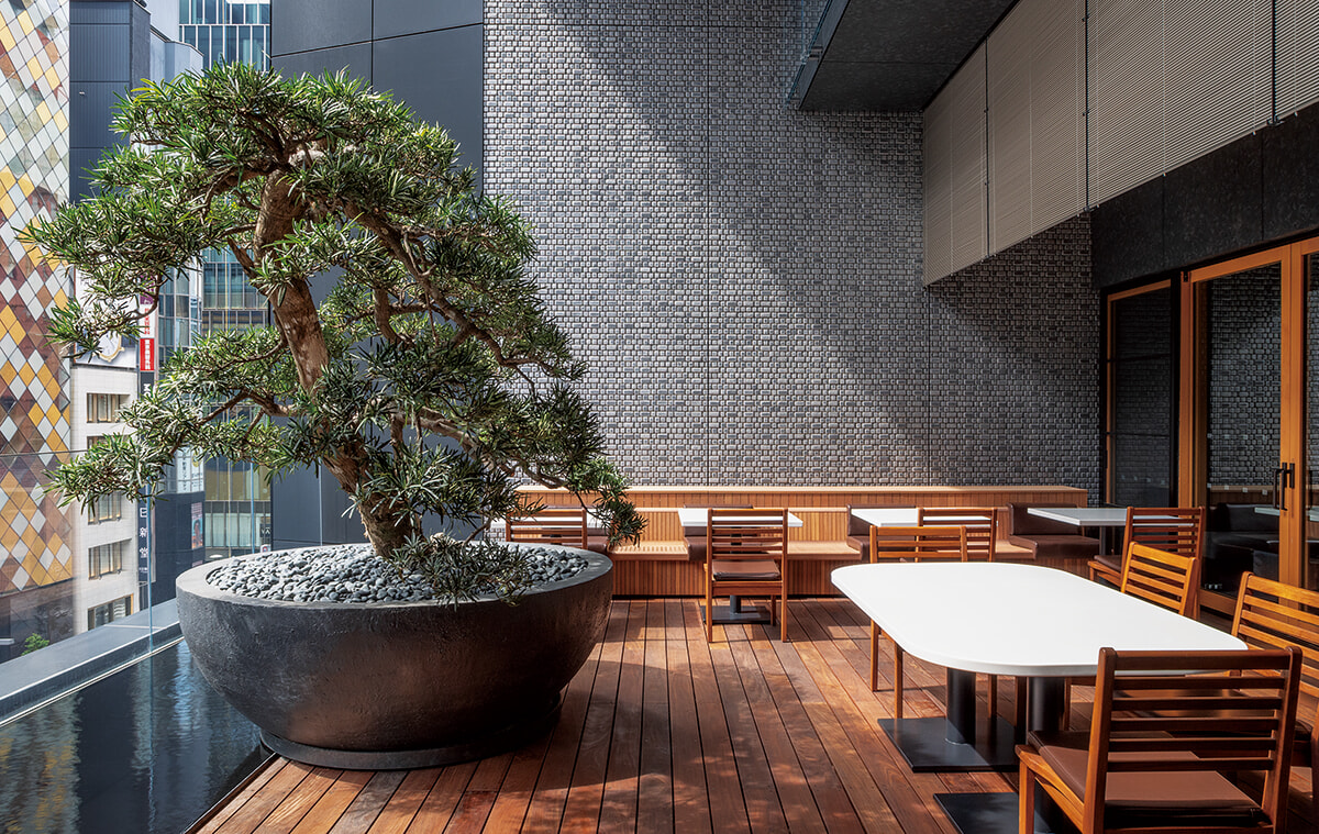 250605-toraya-ginza-wagashi-01.jpg