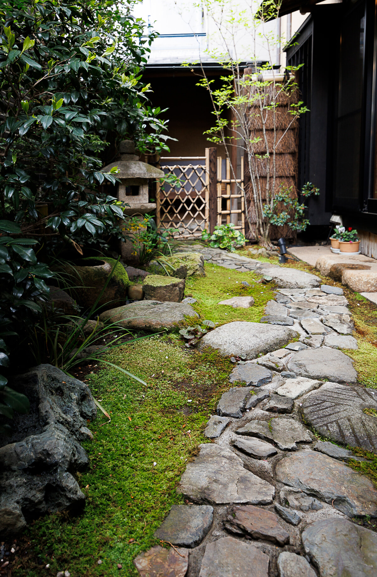 250613-japanesefood-restaurant-tokyo-mejiro-05.jpg