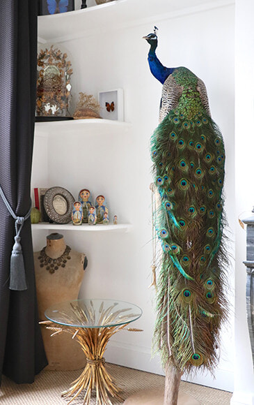 250619-interior-09.jpg