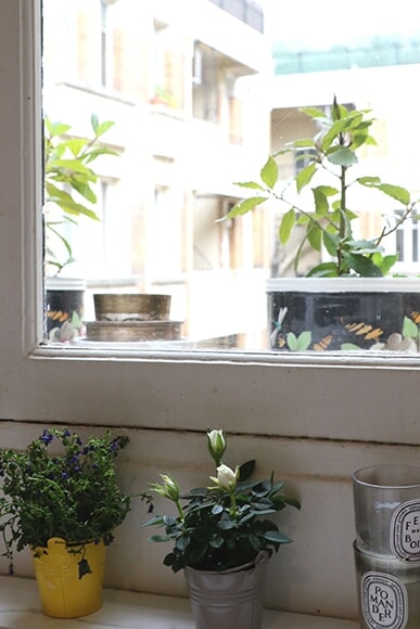 250625-interior-06.jpg