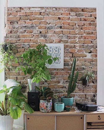 250625-interior-10.jpg