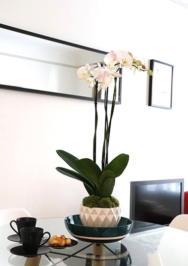 250625-interior-14.jpg