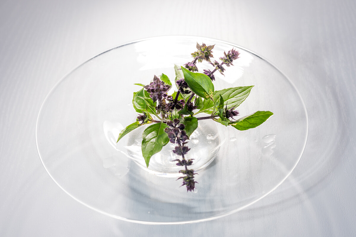 250630-herbs-prospere_01.jpg