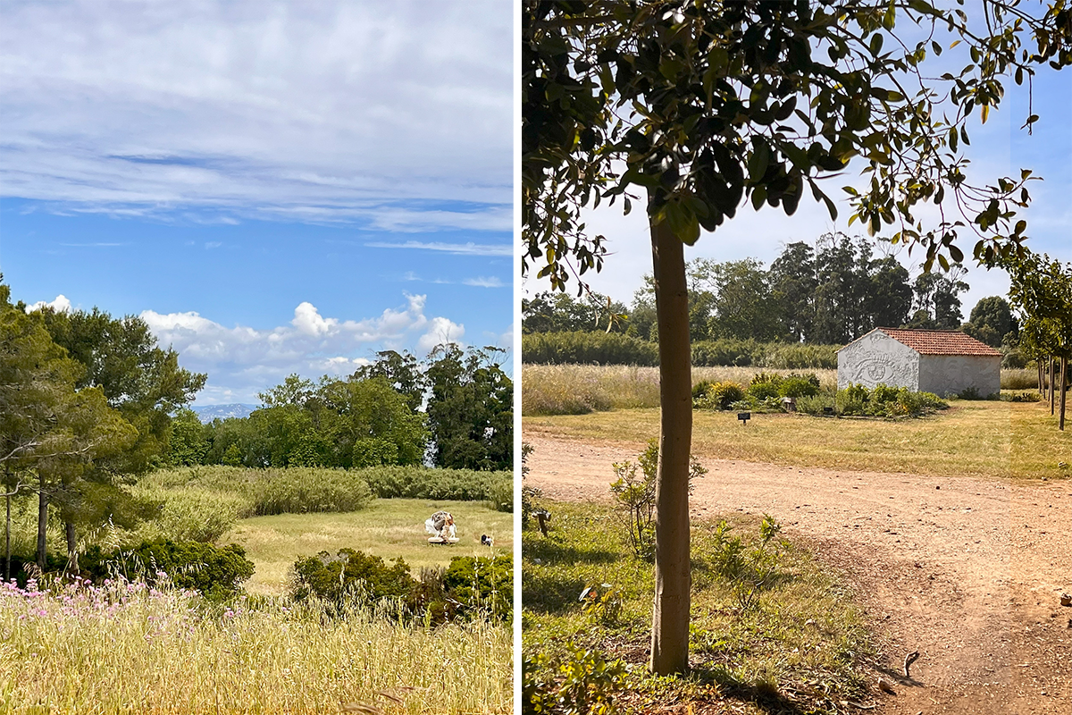 250630-villa-carmignac-05.png