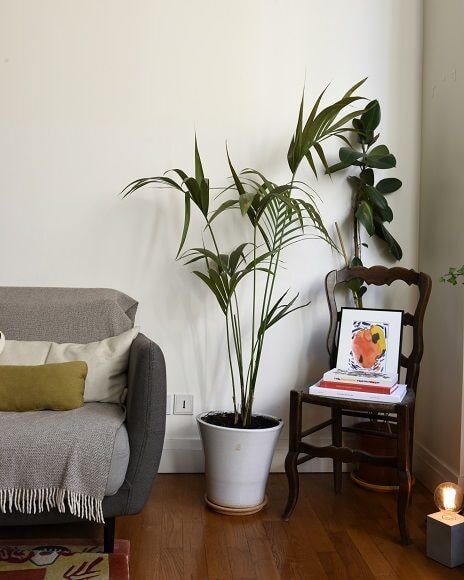250707-interior-12.jpg