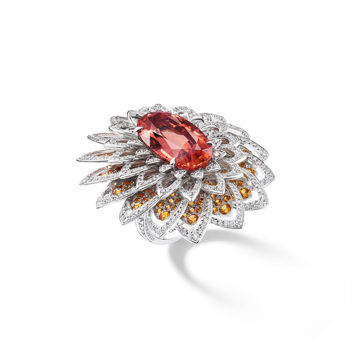 250805-chaumet-20.jpg