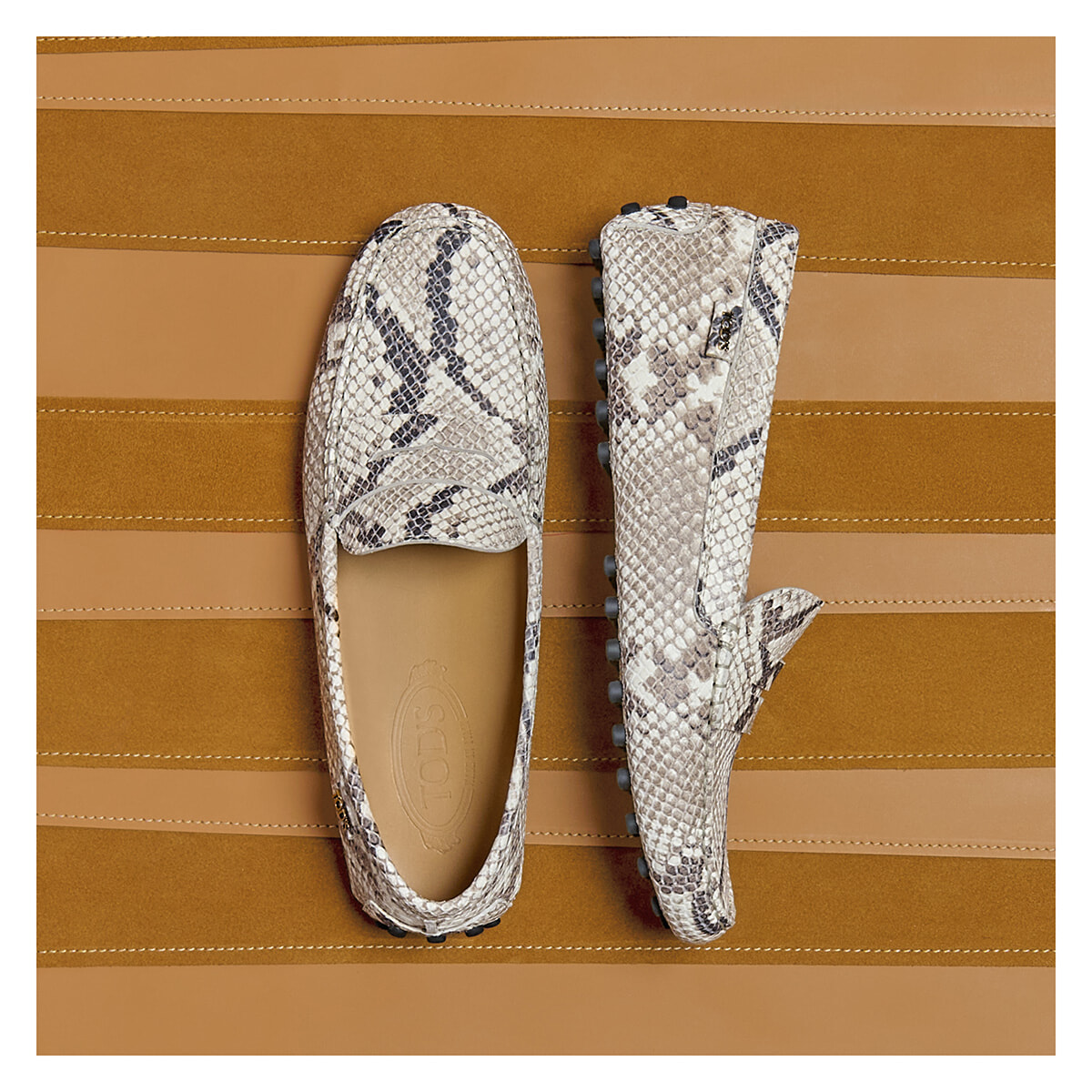250922-tods-05.jpg