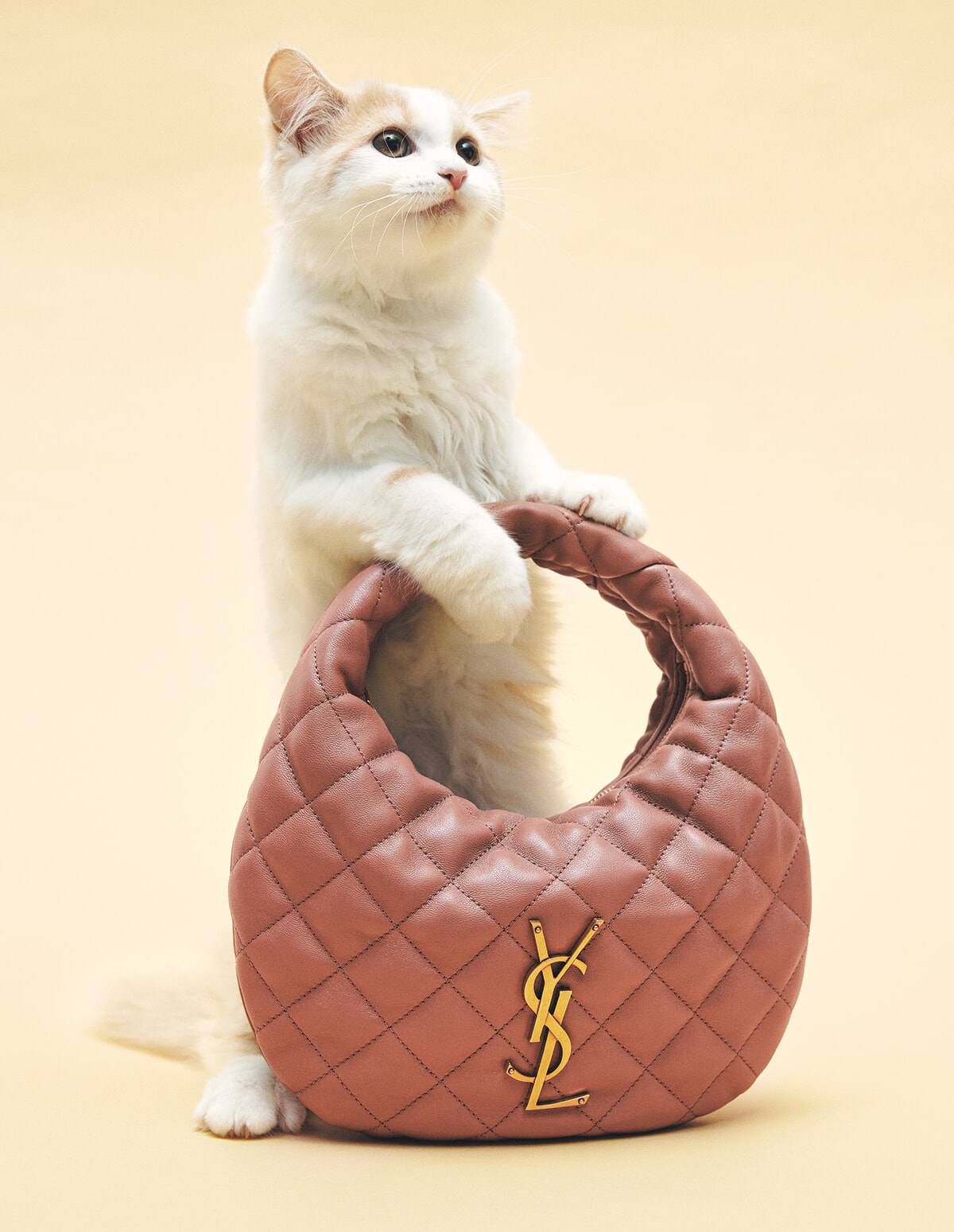251007-bag-shoes-2025aw-ysl.jpg