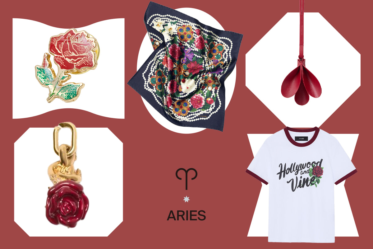 251027-aries-november-thum.jpg