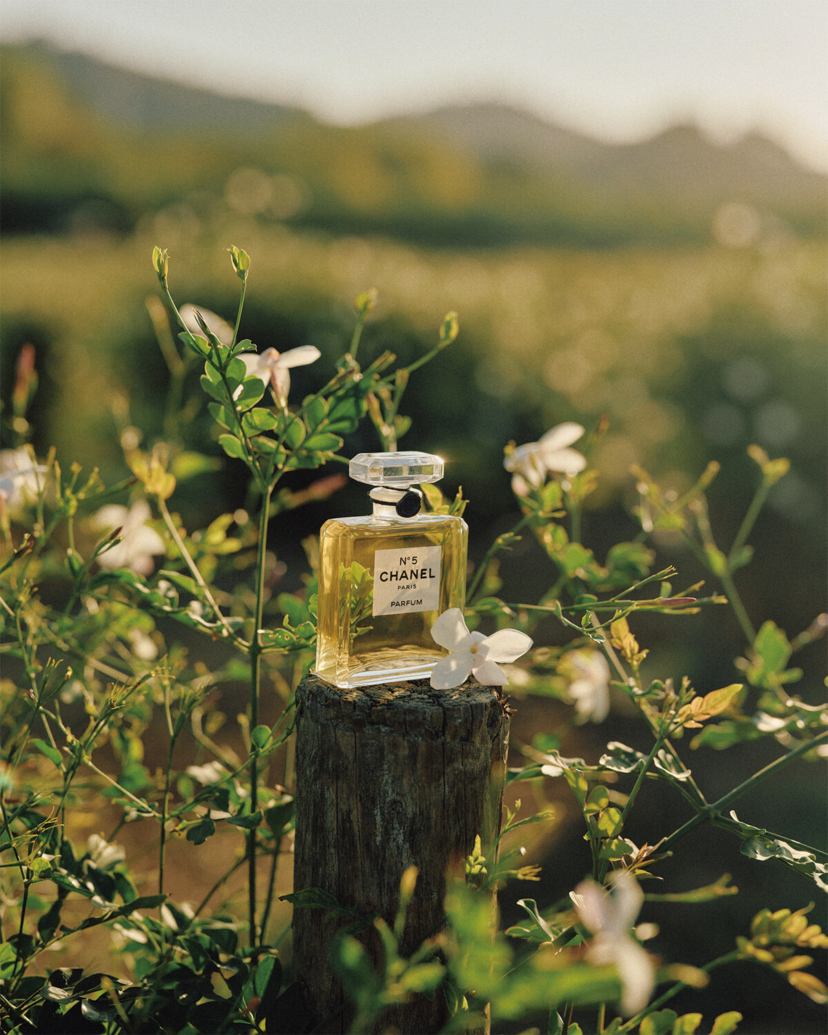 251118-chanel-01.jpg